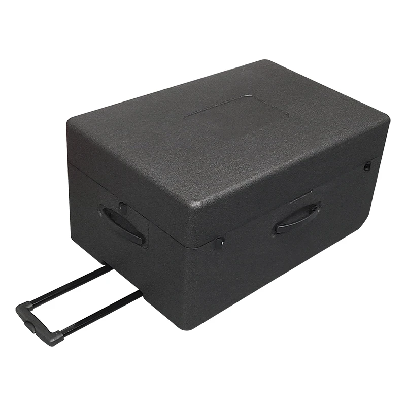 Strukturierter EPP-Trolley
